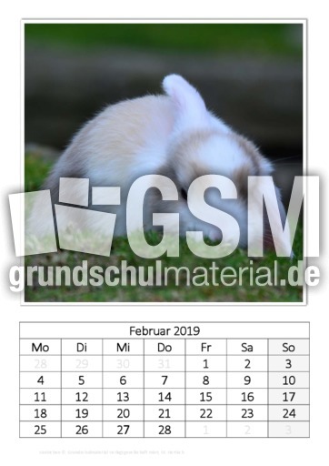 Februar_Kaninchen_2.pdf